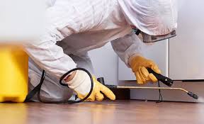 Best Real Estate Pest Inspections  in San Juan Pistrano, CA